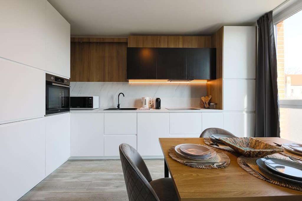 Luxury Apt. Near River & Parking Тимишоара Экстерьер фото