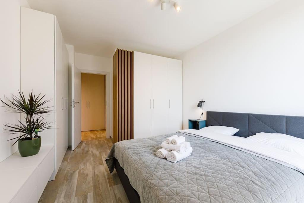 Luxury Apt. Near River & Parking Тимишоара Экстерьер фото
